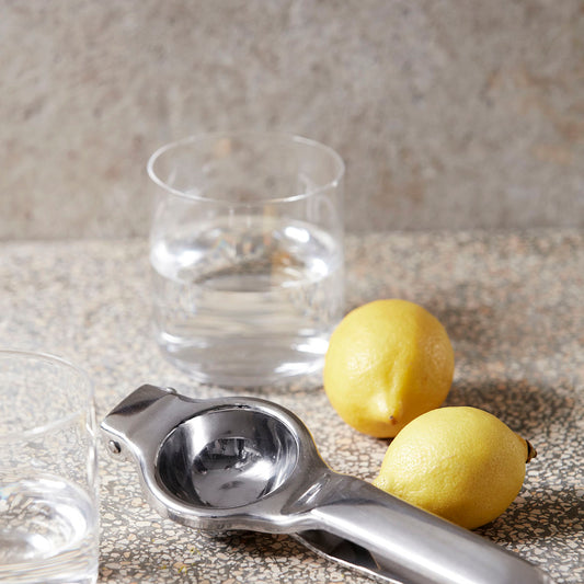 Stainless Steel Lemon Squeezer