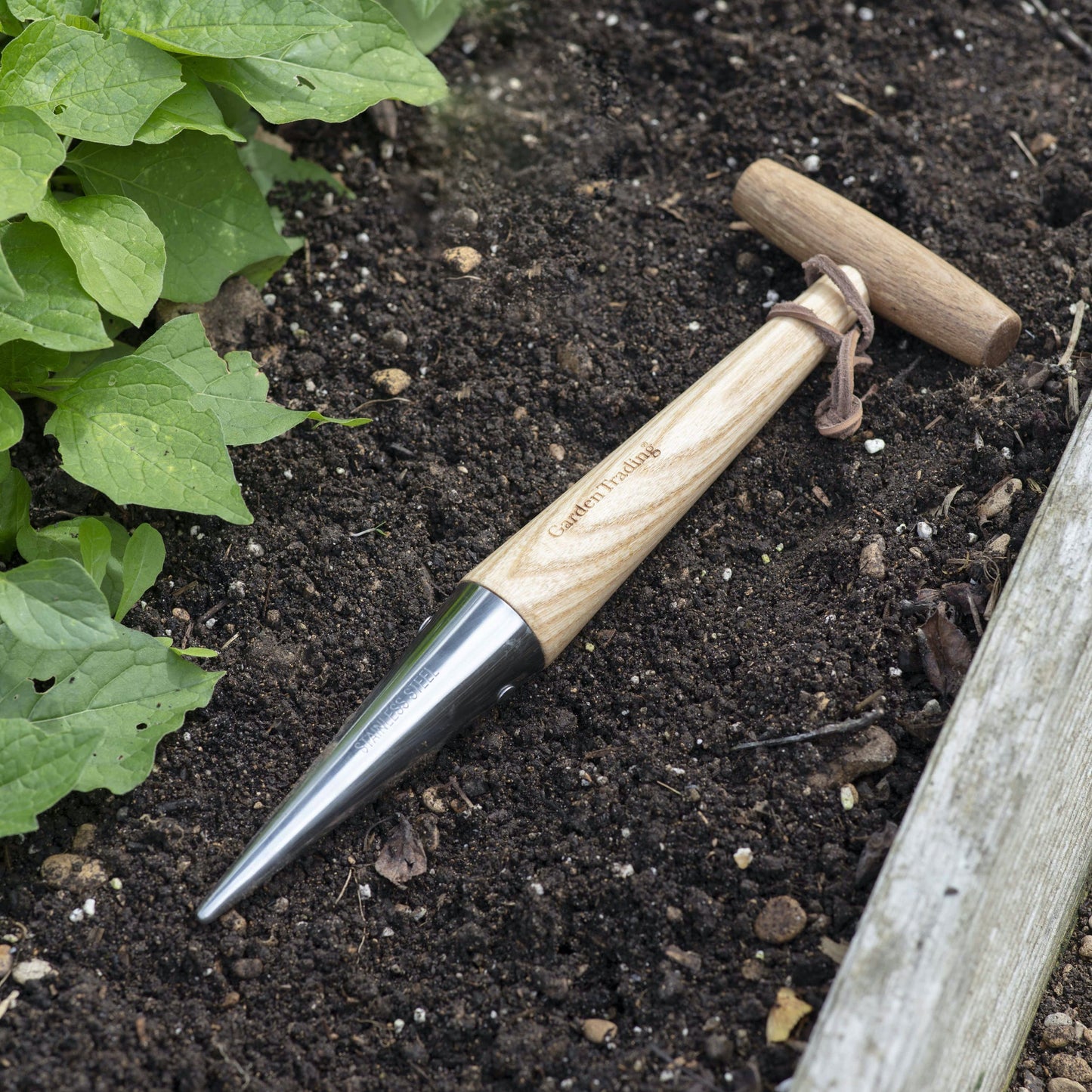 Wooden Handle Dibber