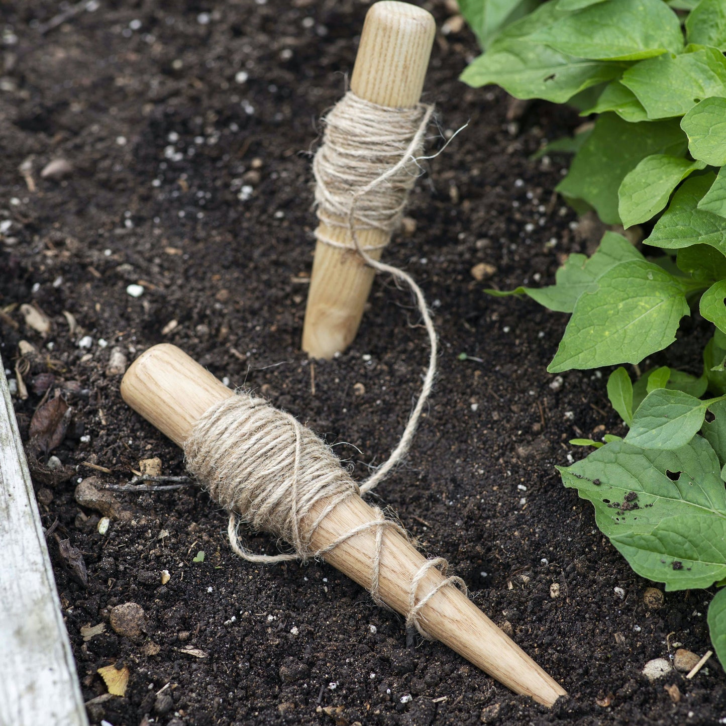 Wooden Spike Garden Line