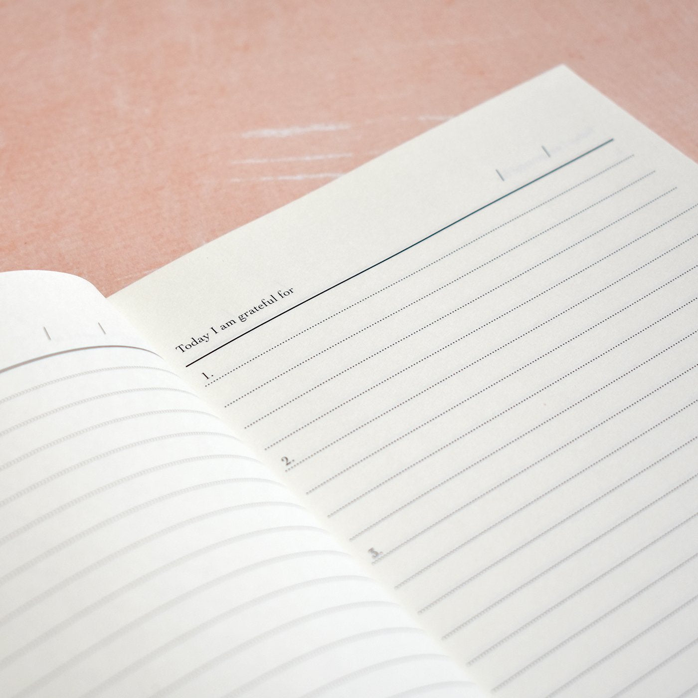 Set of 2 Gratitude and Happiness Journals pages