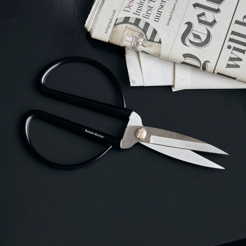 Large Handle Stainless Steel Scissors on desk