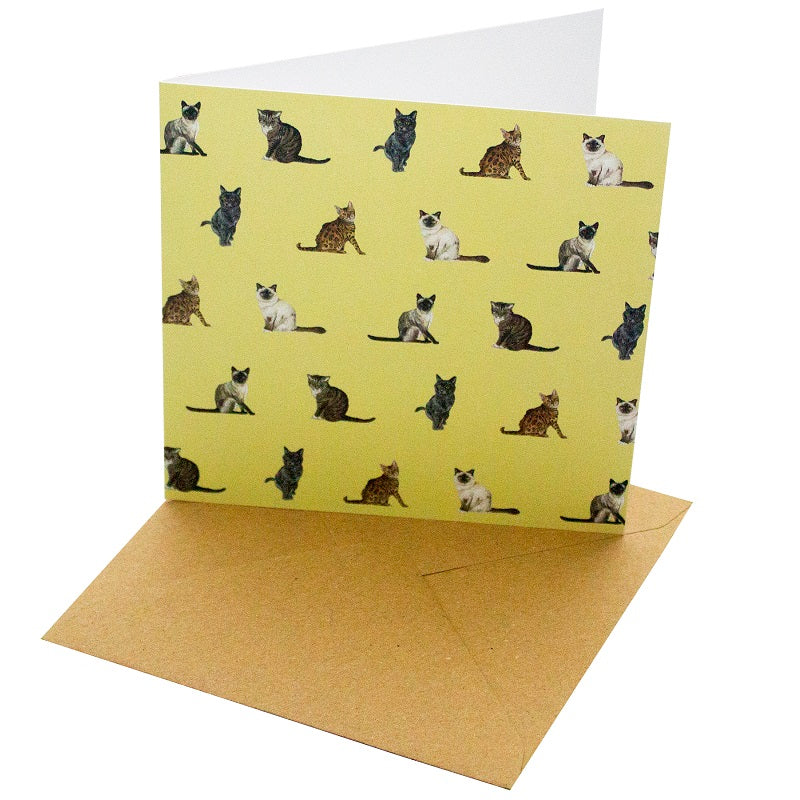 Recycled Paper Card Cat Breed & Wellington