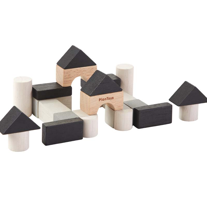 Wooden Construction Set Blocks lined up