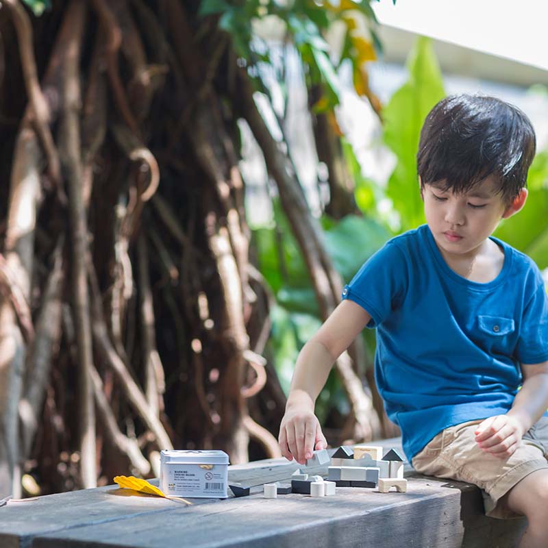 Wooden Construction Set Blocks Boy playing