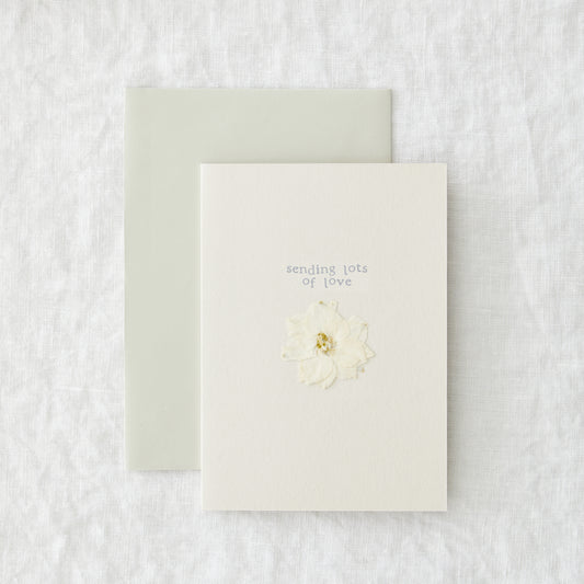 Pack of 10 Eco Friendly "Sending Love" Cards with Dried Flower