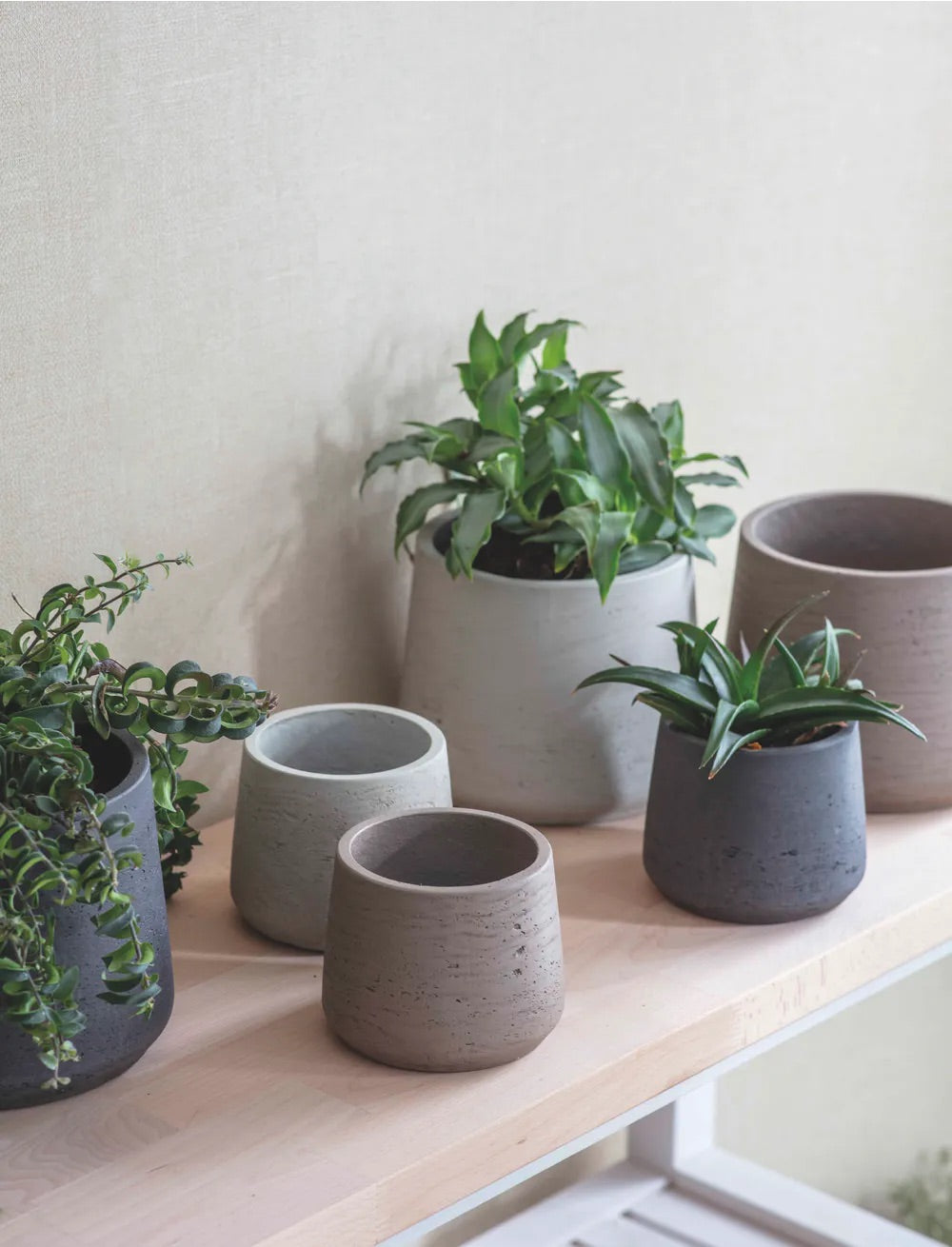 Warm Stone Tapered Cement Plant Pots - COllection